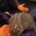 Robert Springer - @robertspringer3 - Twitter