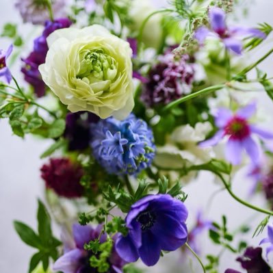 Pkgoitt's profile picture. 芸能界情報ヲタク、特にAKBとか