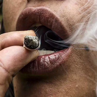 Novo perfil! conta antiga  @brisaexcitante perdi o acesso. DM 📩 anônima para todos maconheiros. Se tirou uma foto fumando excitante.