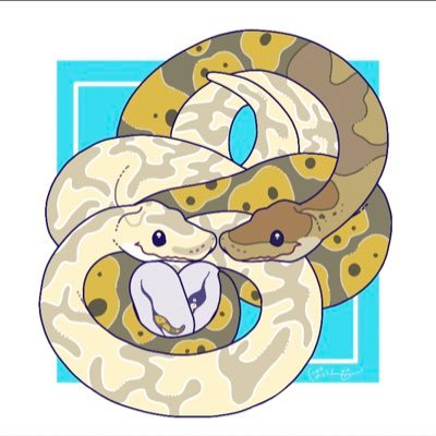 🐍ボールパイソン、バナナ♂、スーパーエンチ♀バナナスーパーエンチブレードhetクラウン♀、クラウンposs YB possパイボール、♂、GHIバンブー♀、モハベファイアウルトラメル♀、バナナエンチクラウンposs +α🐕甲斐犬♂、🐈猫、🐁ジャービル、🐢ニホンイシガメ、🪲クワガタなどの飼育を楽しんでいます。