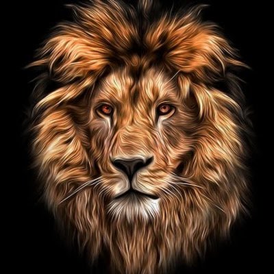 gazzera_f's profile picture. 