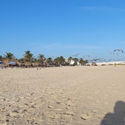 FernandaVa87332's profile picture. 