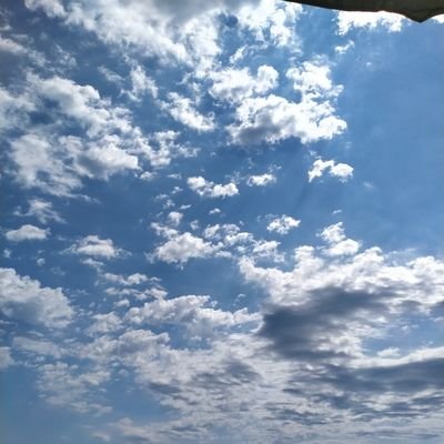 g2stb's profile picture. 