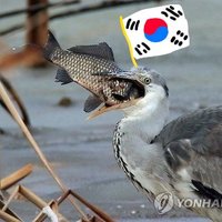 물고기밥인간(@Fish_rice_human) 's Twitter Profile Photo