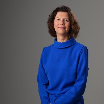 Chair, Health law in a global context, Faculty of Law, and scientific director, Aletta Jacobs School of Public Health - University of Groningen, the Netherlands