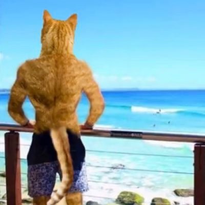 Shy_Ubermensch's profile picture. Suffering From Success
