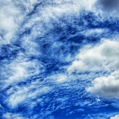 OMG_imCharming's profile picture. .I is