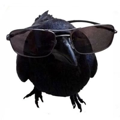 HoracioReCa's profile picture. No es inmortal el que nunca muere sino el que perdura en la mente y el corazón de las personas por sus actos. Trombón de varas. El Psy Congroo.