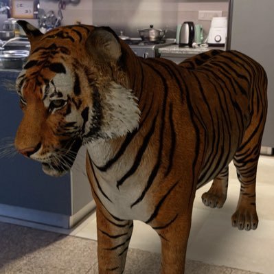 PathakSaikumar's profile picture. Spinning a Smile along the Mile!