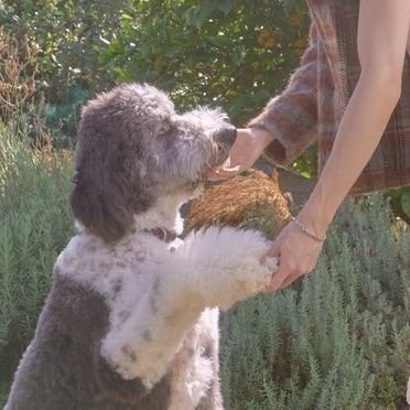 closeyourrys's profile picture. 