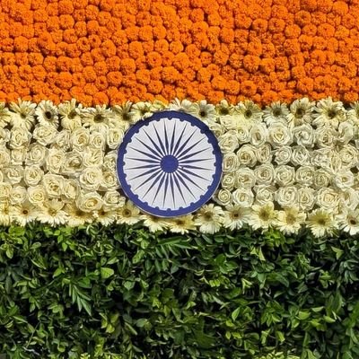 ElvisharmyFC2's profile picture. Socialist