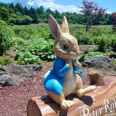 ほぼ見る専門です😊コブクロが好きです🎵よろしくお願いします