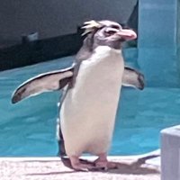 たけ (@kmrkn1217) 's Twitter Profile