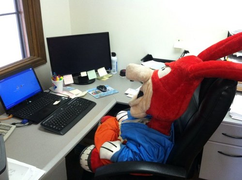 DBaretz's profile picture. 