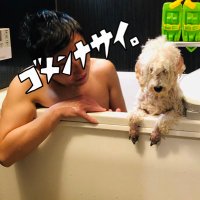 bussi (@r129boo) 's Twitter Profile