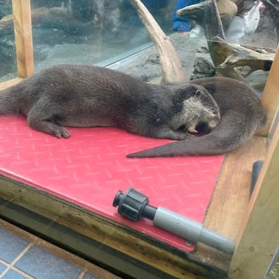 サニーさんのプロフィール画像