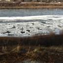 Blain Johnson - @SaskTundra - Twitter