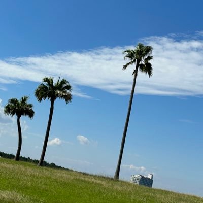 kin0058's profile picture. 