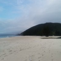 quockhanhplj (@quockhanh811189) 's Twitter Profile