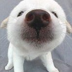 kjartfri's profile picture. 