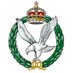 The Army Air Corps (@ArmyAirCorps) Twitter profile photo