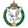 ArmyAirCorps's profile picture. Official account for the British Army’s aviation combat arm. Aircraft operated by AAC soldiers include the Apache attack helicopter & the Wildcat #Armyaviation
