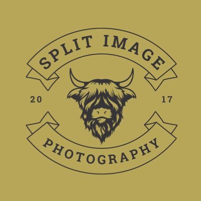 splitimage0's profile picture. 