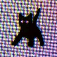 ✧𝓝𝓸𝓽𝓶𝓮✧ (@j5hg1yquai3qthr) 's Twitter Profile