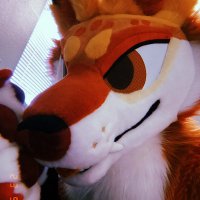 hälee 🐾🌲✦(@pawpines) 's Twitter Profile Photo