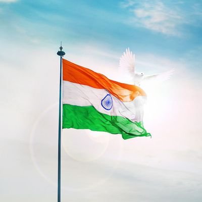 hosamaniyc's profile picture. social