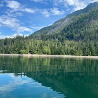 Wasabi (@jackvacky) 's Twitter Profile Photo