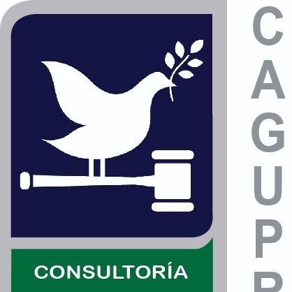 Consultaría Asesoría Gubernamental y Privada