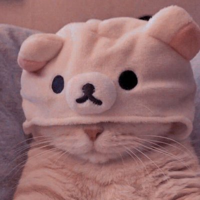 cats RT bot
