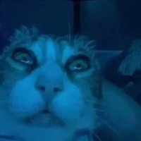 yes 🧍 (@fluffyhell__) 's Twitter Profile