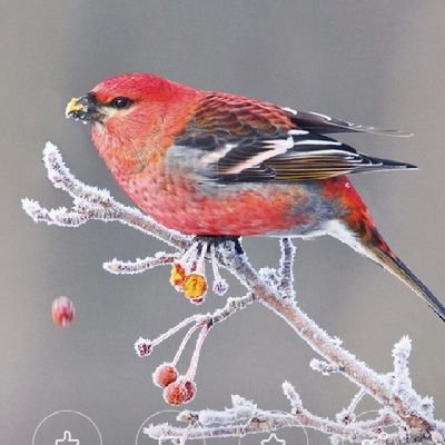 emmanuel_b27898's profile picture. 