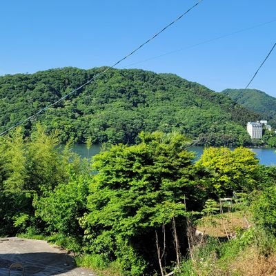 2MWMdXKXKF10610's profile picture. 