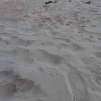 chithanhxkh (@chithanh1565383) 's Twitter Profile