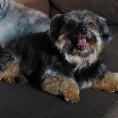 ClaudiaScui's profile picture. 