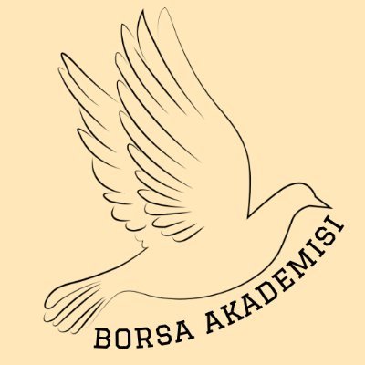 borsaakademisii Profile Picture