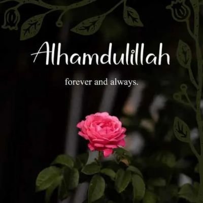 anas_hindustani's profile picture. 💕ALHAMDULILLAH 💕