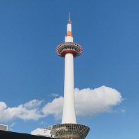 tacosuke (@tacowhether) Twitter profile photo