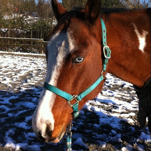 Blondietwo's profile picture. 