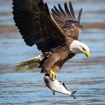 Tchegoun99's profile picture. Sympa