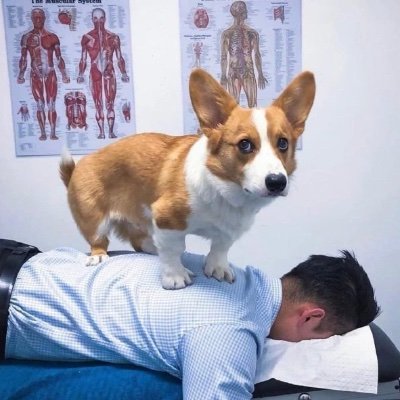 beijiabi's profile picture. 