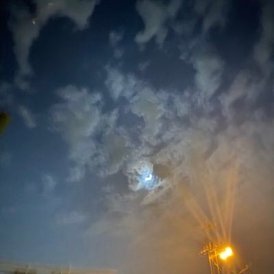 STGKhi's profile picture. 