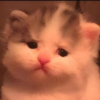 nitishpatel2000's profile picture. Developer,
HINDU,
जय श्री राम