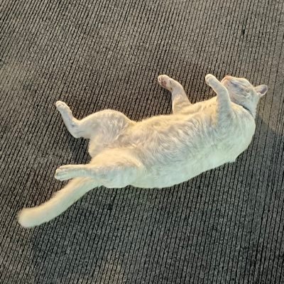 キラキラプイ一