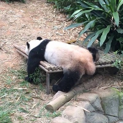 閲覧専用アカ ／20↑

ラブコメが主食🐼