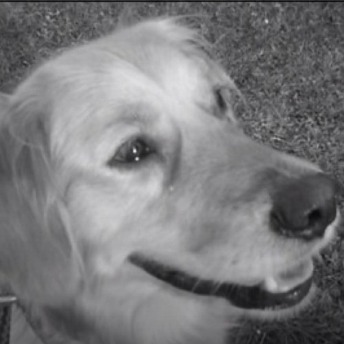 Kaywain's profile picture. Hampshire girl, but now living in Devon