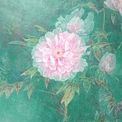 高橋翔平/Shohei Takahashiさんのプロフィール画像